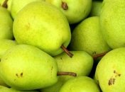 От мякоти до листьев: диетологи рассказали о пользе груш