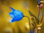 Какие завтра праздники: традиции и приметы на 8 июня