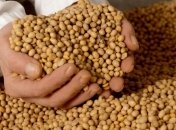 Вред и польза соевых продуктов