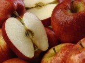 Продукты, которые улучшают работоспособность головного мозга