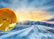 У Карпатах помітили природну аномалію через теплу зиму (відео)