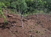 Экс-чиновник Тернопольской ОГА незаконно изъял 4 га земли