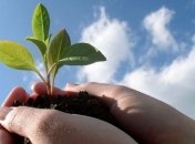 Минприроды собирается повысить штрафы за загрязнение окружающей среды