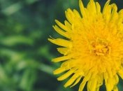 Какой праздник 10 апреля: народные приметы и запреты