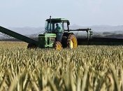 Кабмин направит полмиллиарда на погашение задолженности перед аграриями