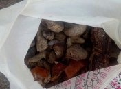 В Житомирской области правоохранители изъяли более 340 кг янтаря