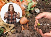 Как получить натуральную подкормку для растений