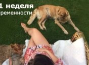 Как выглядит живот на 21 неделе беременности: 12 фото из Инстаграма