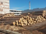 В ГФС возбудили 39 дел по незаконному экспорту древесины