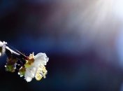 Прогноз погоды в Украине: ожидается снижение температуры