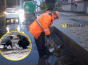 Комунальники прибирають в Одесі після негоди