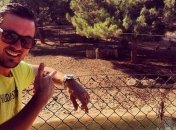 Милевский: Надо думать, как прекратить этот беспредел