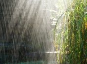 Погода в Украине на сегодня: дожди обойдут только юг страны 