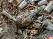 В Польше кладоискатели обнаружили тайник с серебром (Фото)