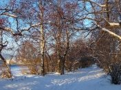 Погода в Украине на сегодня: снежно будет на западе и севере