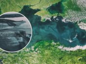 Россияне устроили огромную экологическую катастрофу