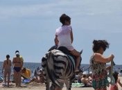 В Херсонской области лошадь перекрасили в зебру и катали туристов: в сети возмущены (видео)