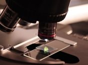 Ученые создали новый класс материалов