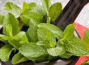 Это растение особенно полезно для здоровья мужчин