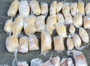 У Чорноморському морпорту виявили "нашпиговану" бурштином вантажівку (Відео)