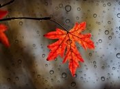 Украинцам не советуют прятать зонтики