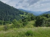 На Буковине произошло землетрясение