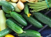 27 мая обычно сажали огурцы