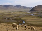 Монголия входит в 20-ку самых больших по площади стран мира