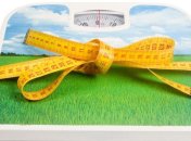 Диета Лутца: худеем с удовольствием