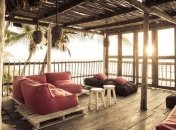 Такого вы еще не видели: уникальный номер на дереве (Фото)