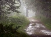 Прогноз погоды в Украине на 22 августа: пройдут дожди и похолодает