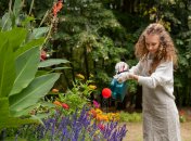 Цветам нужны удобрения