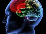 Что может защитить мозг от последствий инсульта?