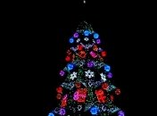 В Одессе зажгли главную елку города (Видео)