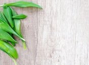 Польза и вред черемши: что надо знать о главном ингредиенте весенних блюд