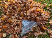 За сжигание листьев в Украине можно получить штраф