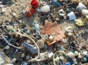 У человечества есть 10 лет, чтобы предотвратить экологическую катастрофу