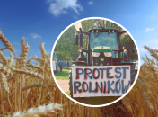 Фермери в ЄС протестують через те, що українське збіжжя обвалило ціни