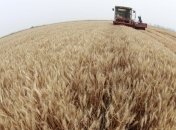 Эксперт: Осенью пшеница в Украине подорожает на 300 грн