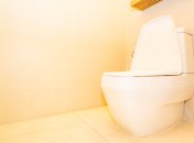 Чистка унитаза больше не принесет сложностей