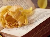 Сложно сдержать слезы: душевные книги, которые "возьмут за душу"