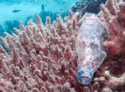 Биоразлагаемый пластик оказался вреден для окружающей среды