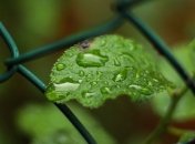 В Украине 23-24 июля грозовые дожди: температура упадет до +23°