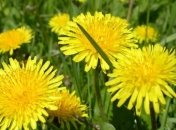 9 простых рецептов: как очистить сосуды