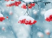 30 ноября - приметы и обряды в день Григория Зимоуказателя