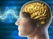 Ученым удалось расширить возможности памяти человека с помощью импланта