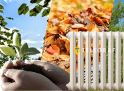 Плантации не только обеспечивают тепло, но и улучшают почву