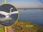 Иллюстративное фото