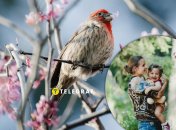 В праздник особо почитают птиц