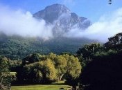 Сад Кирстенбош: снимки райского цветущего оазиса в Южной Африке (Фото)